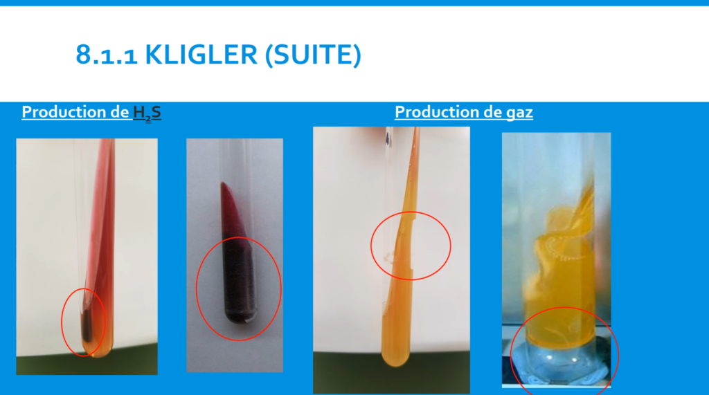 Capture d'écran avec des équipements de laboratoire. Production de H2S